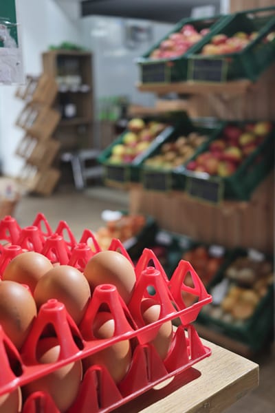 Eier in roten Paletten, dahinter Kisten mit Äpfeln